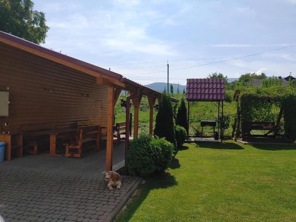 Cottage house Iaremcea Exterior foto